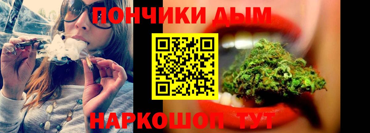 Каннабис план Северск